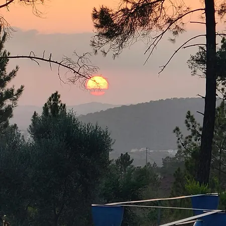 Vale Vinagre Al Holidays Villa